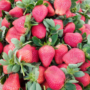 Organic Strawberry। Organic Fruits।